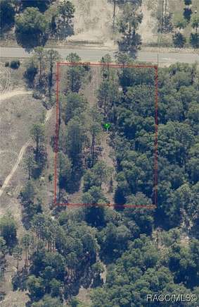 1 Acre of Land for Sale in Dunnellon, Florida