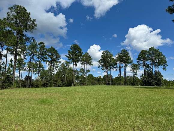 3 Acres of Residential Land for Sale in Carriere, Mississippi