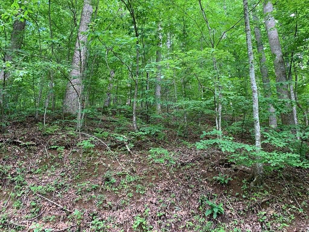 2.97 Acres of Land for Sale in Hiawassee, Georgia