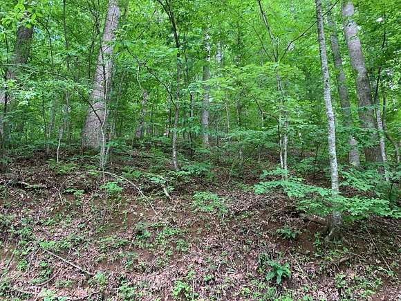 2.97 Acres of Land for Sale in Hiawassee, Georgia