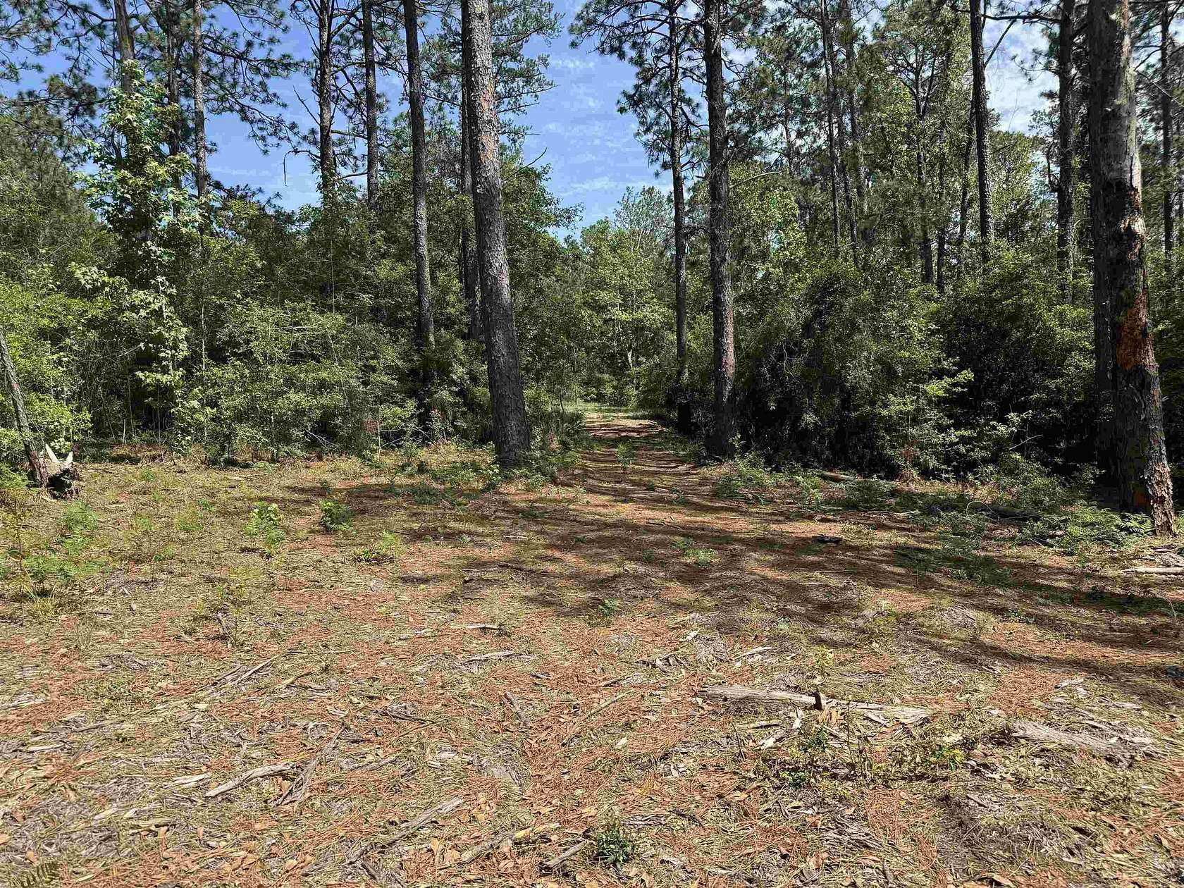 0.2 Acres of Residential Land for Sale in Brookeland, Texas