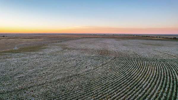 85 Acres of Recreational Land & Farm for Sale in Littlefield, Texas