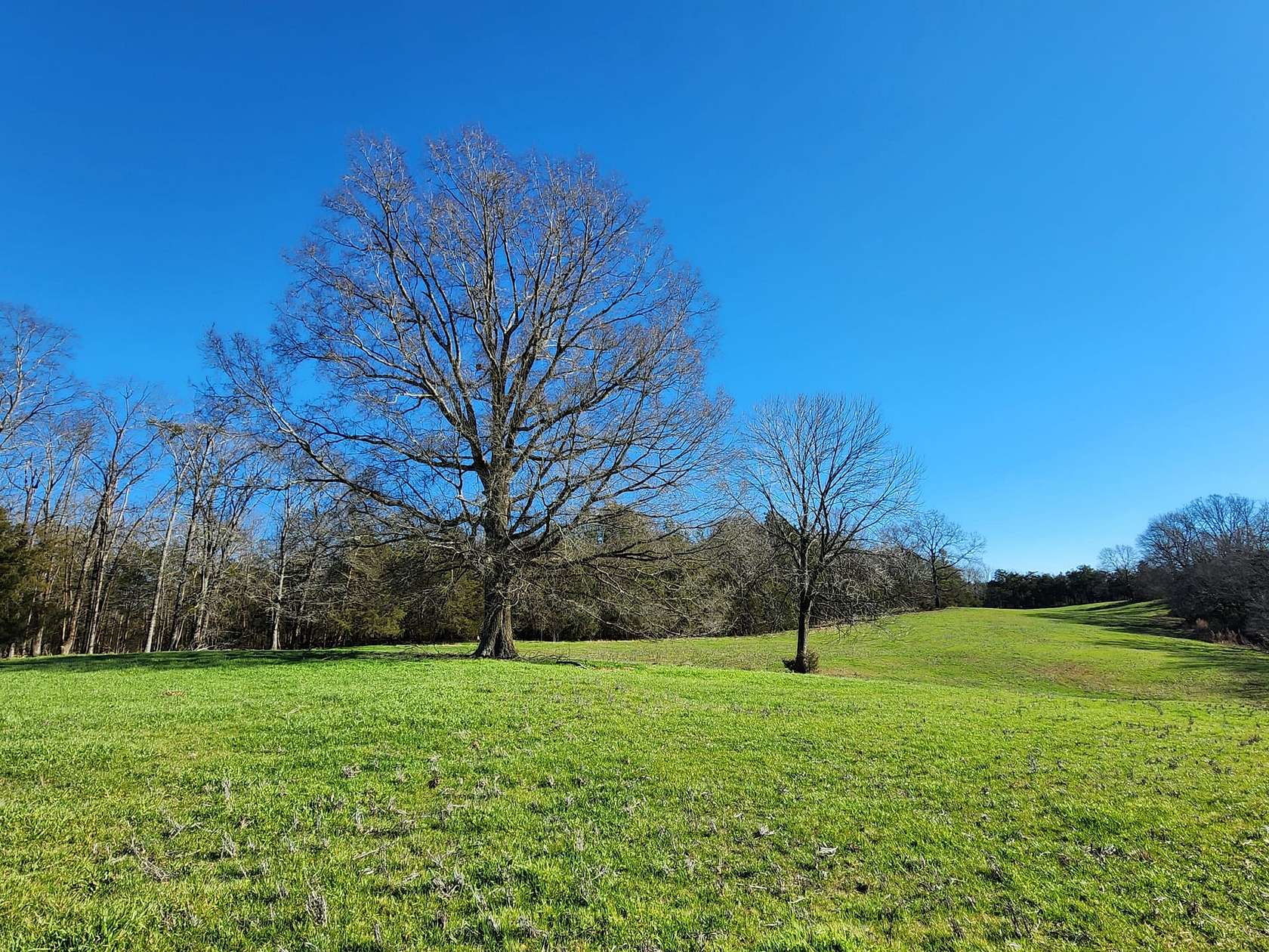 40 Acres of Recreational Land & Farm for Sale in Heath Springs, South Carolina