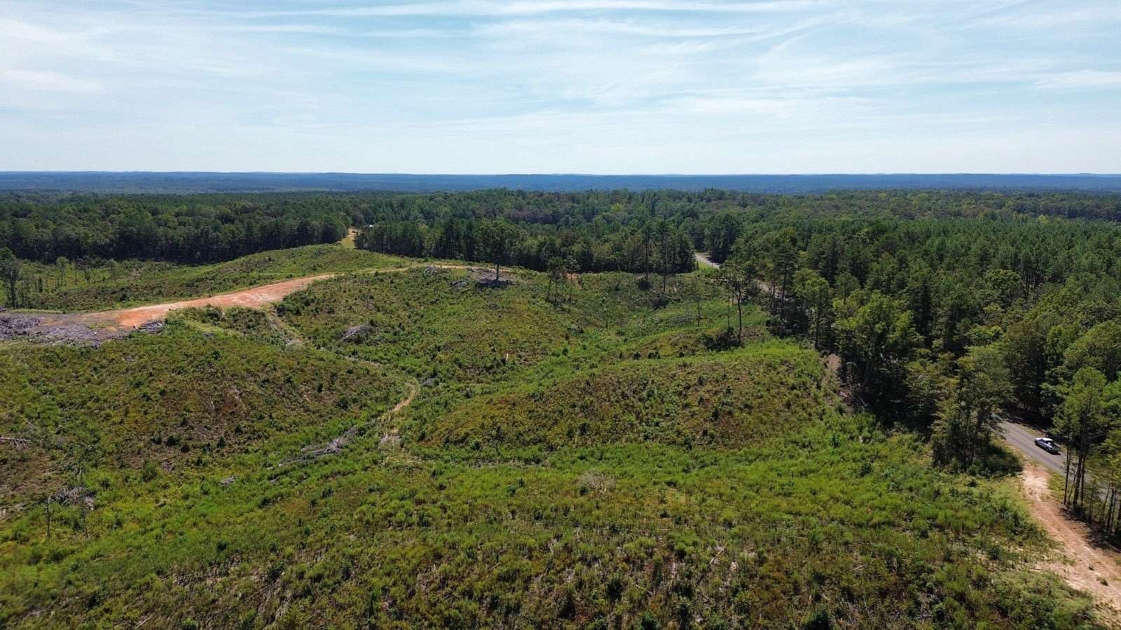 73 Acres of Recreational Land for Sale in West, Mississippi