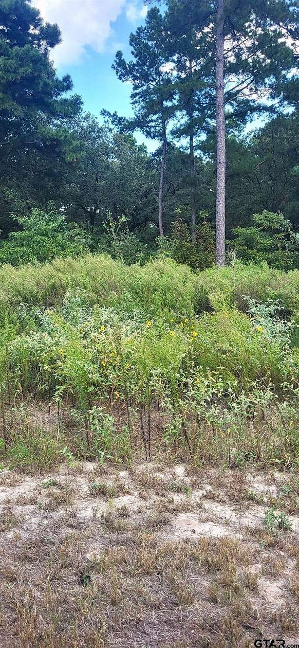 1.2 Acres of Residential Land for Sale in LaRue, Texas