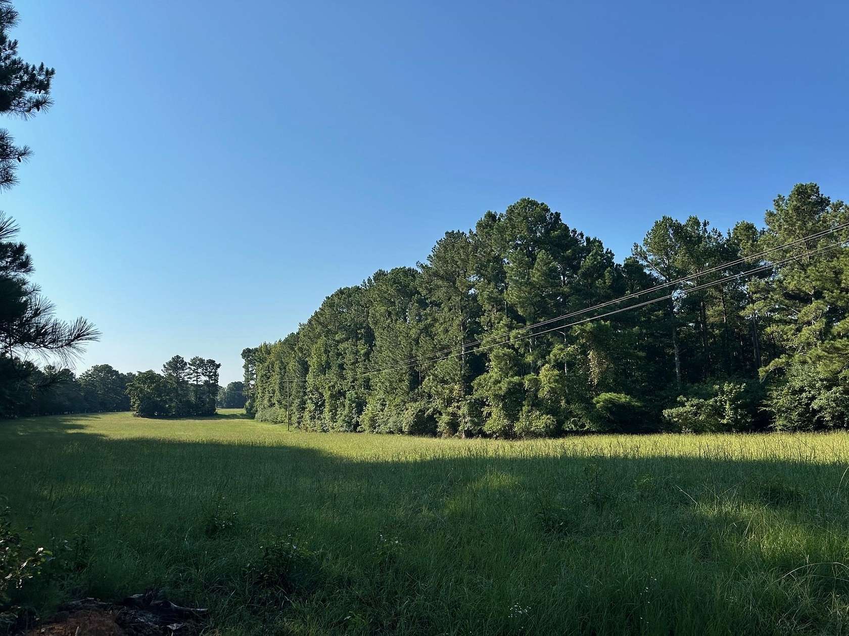 50 Acres of Agricultural Land for Sale in Greensboro, Georgia