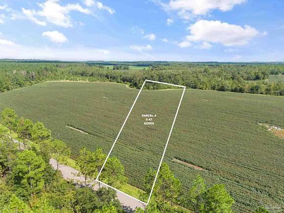 5.47 Acres of Residential Land for Sale in Jay, Florida