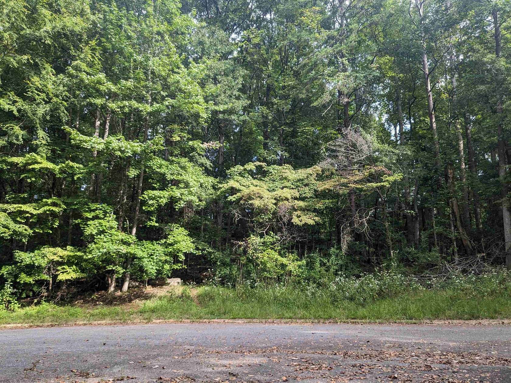 0.67 Acres of Residential Land for Sale in Spartanburg, South Carolina