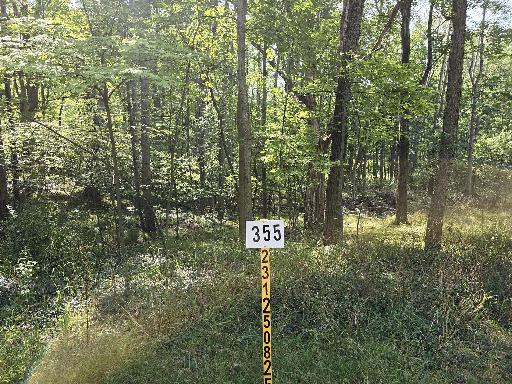 0.29 Acres of Residential Land for Sale in Stanwood, Michigan