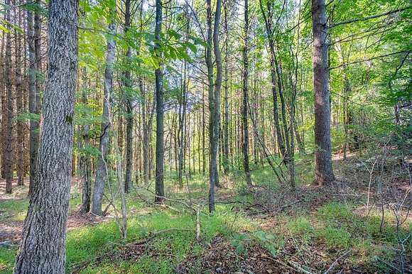 18.08 Acres of Agricultural Land for Sale in Fancy Gap, Virginia