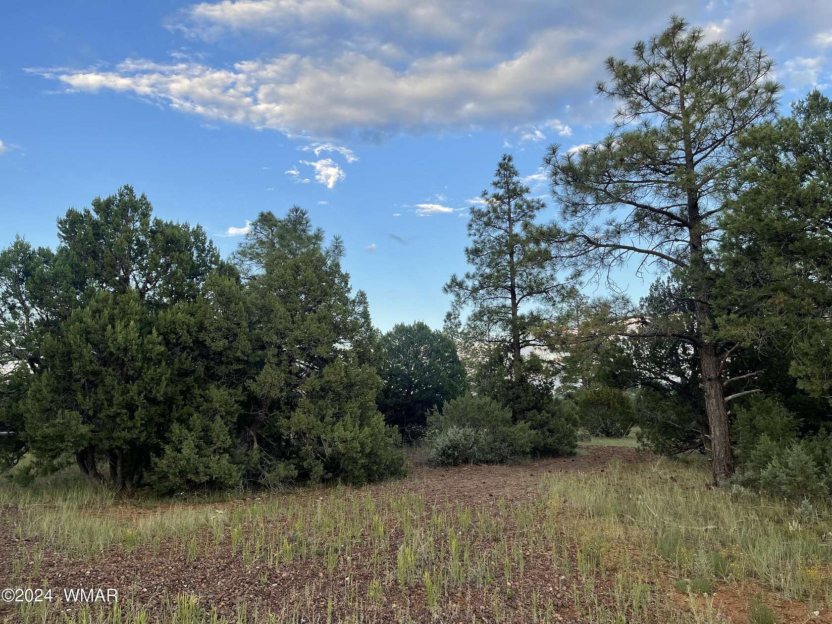 10 Acres of Recreational Land for Sale in Lakeside, Arizona