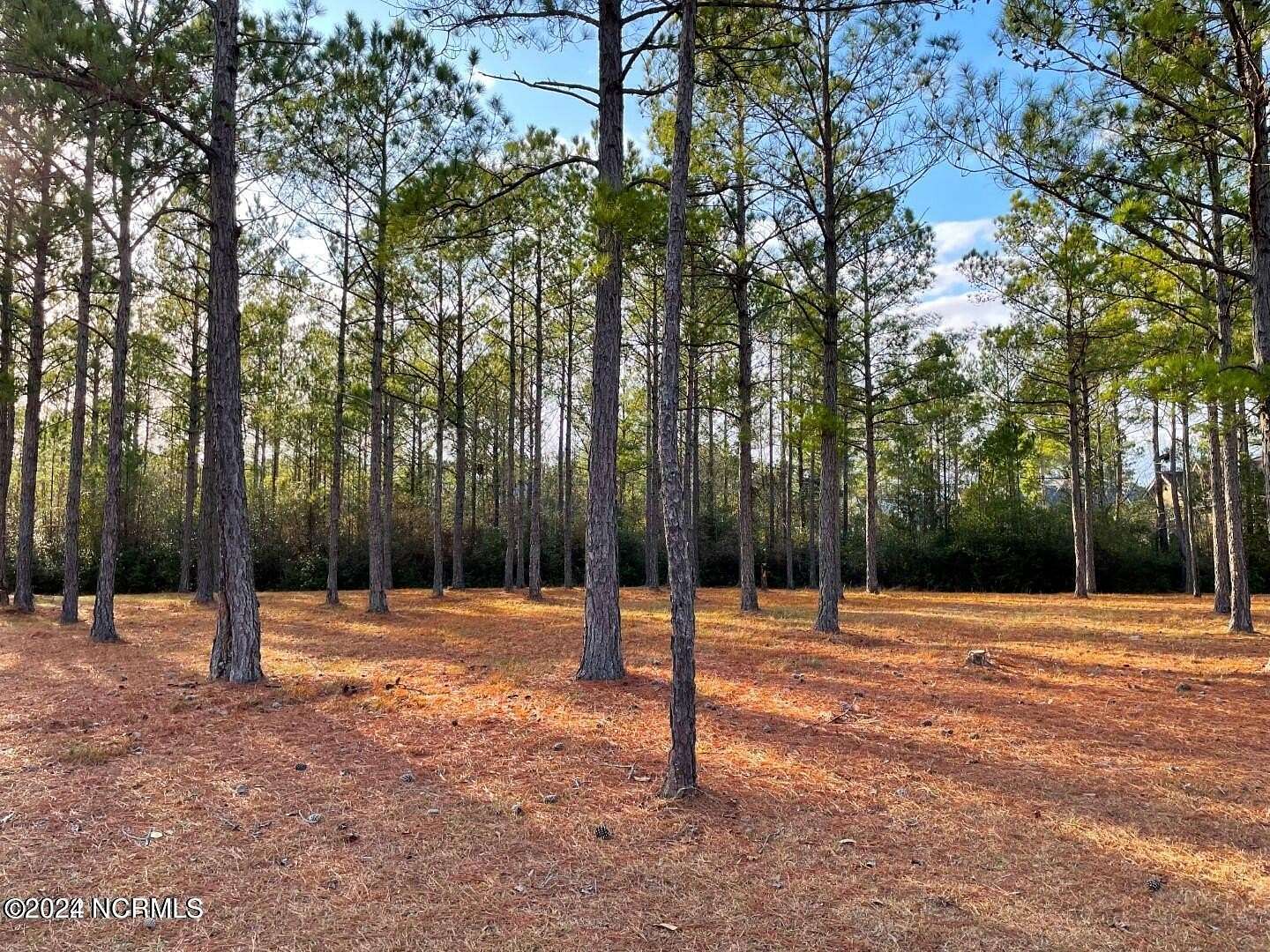 0.48 Acres of Land for Sale in Ocean Isle Beach, North Carolina