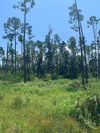 0.27 Acres of Residential Land for Sale in Panama City, Florida