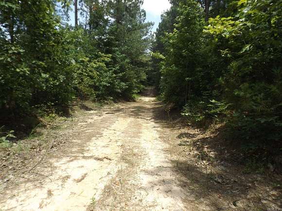 286 Acres of Recreational Land for Sale in Pine Bluff, Arkansas