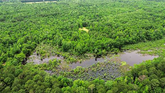 283 Acres of Recreational Land & Farm for Sale in Carthage, Mississippi