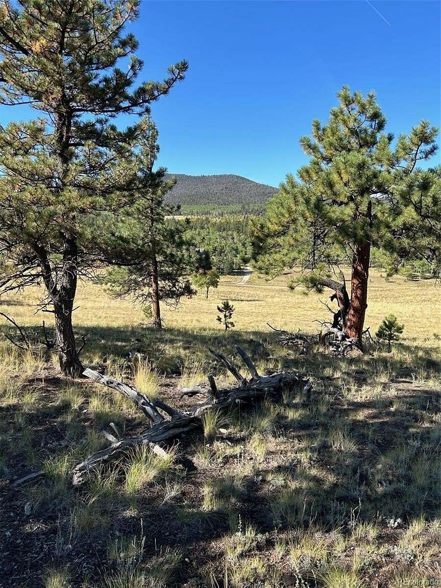 2.7 Acres of Residential Land for Sale in Hartsel, Colorado