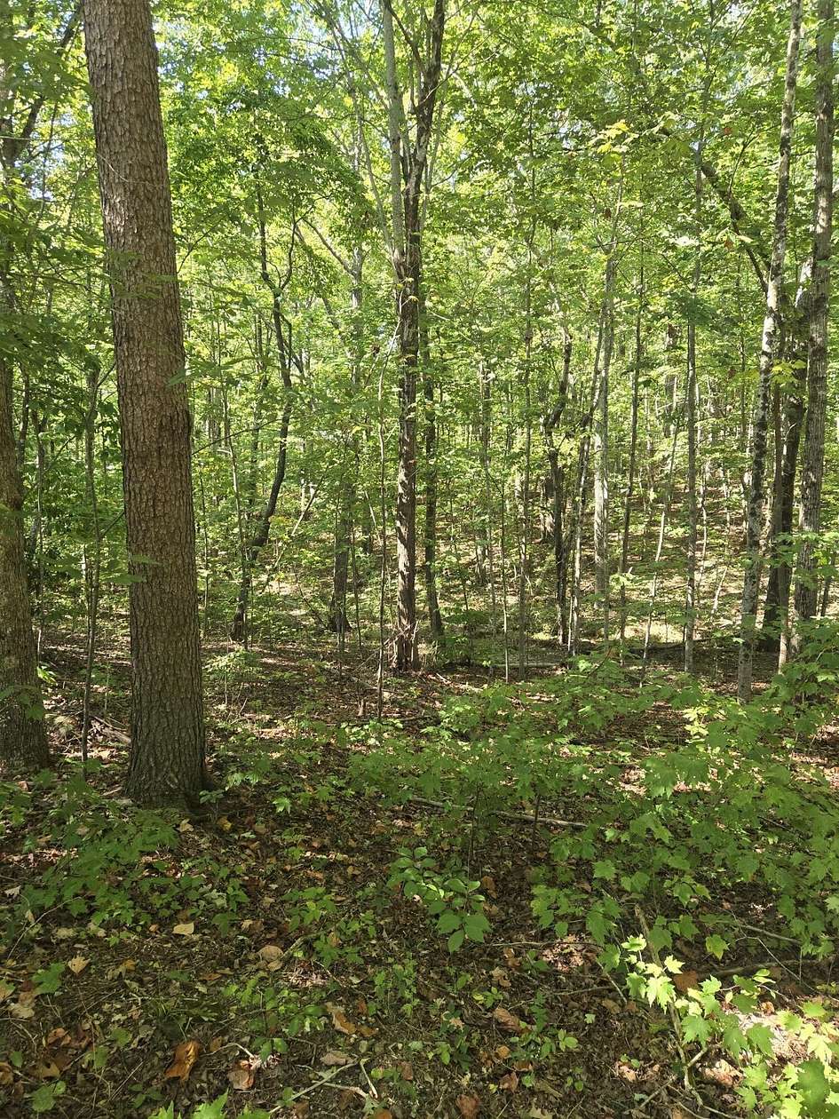 3.3 Acres of Residential Land for Sale in Graysville, Tennessee