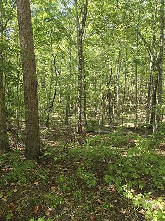 3.3 Acres of Residential Land for Sale in Graysville, Tennessee