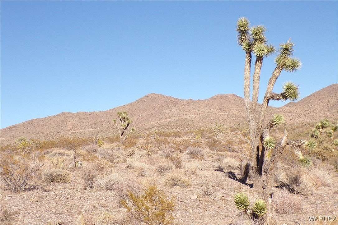 1.35 Acres of Residential Land for Sale in White Hills, Arizona