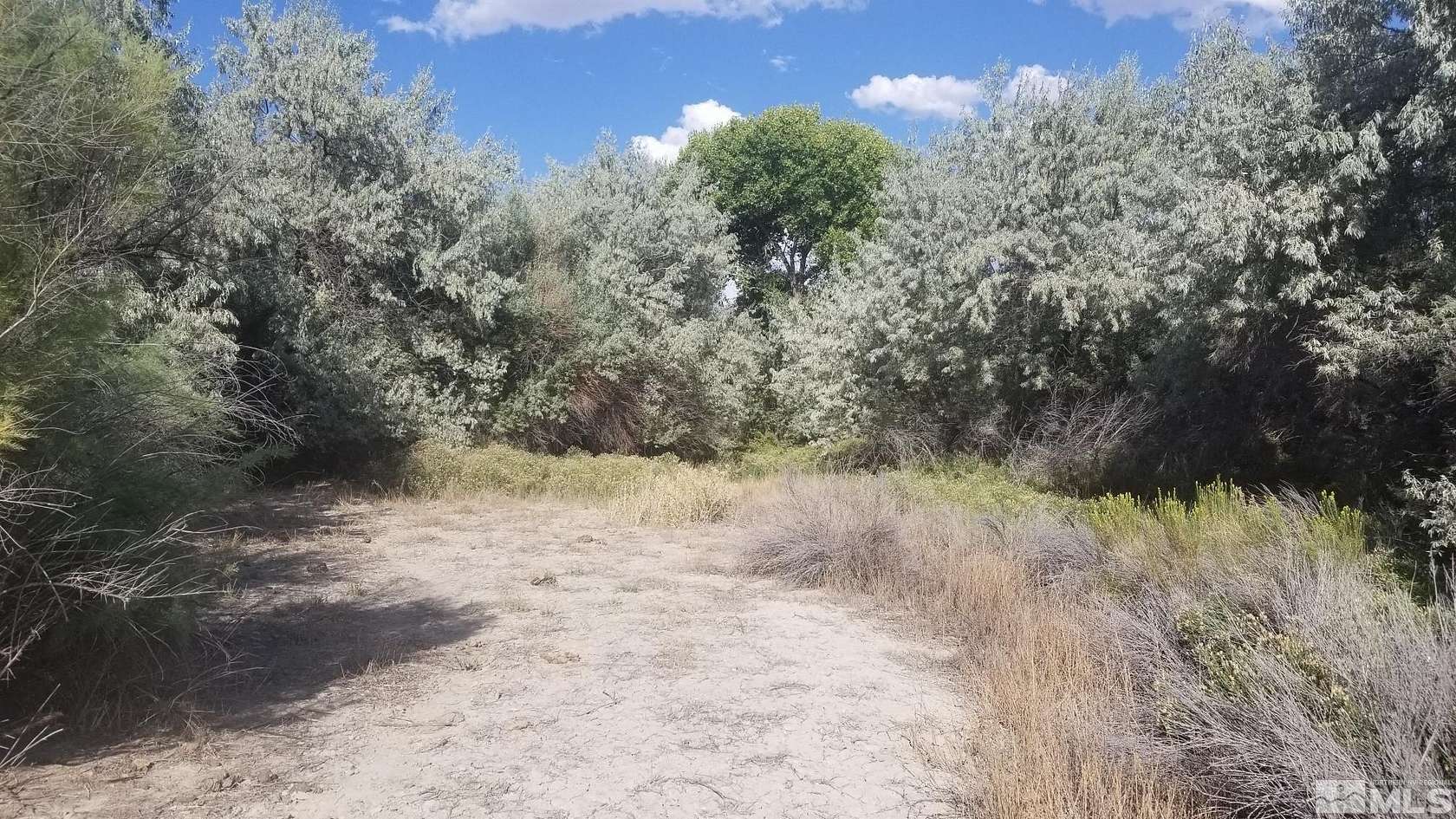 12.99 Acres of Land for Sale in Lovelock, Nevada