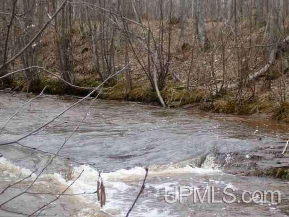 35.75 Acres of Recreational Land for Sale in Ontonagon, Michigan