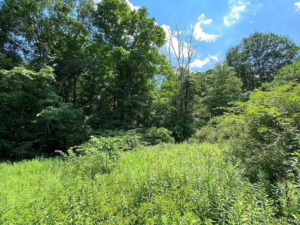 1.175 Acres of Residential Land for Sale in Johnstown, Pennsylvania