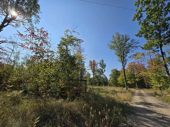 16 Acres of Land for Sale in Fairview, Michigan