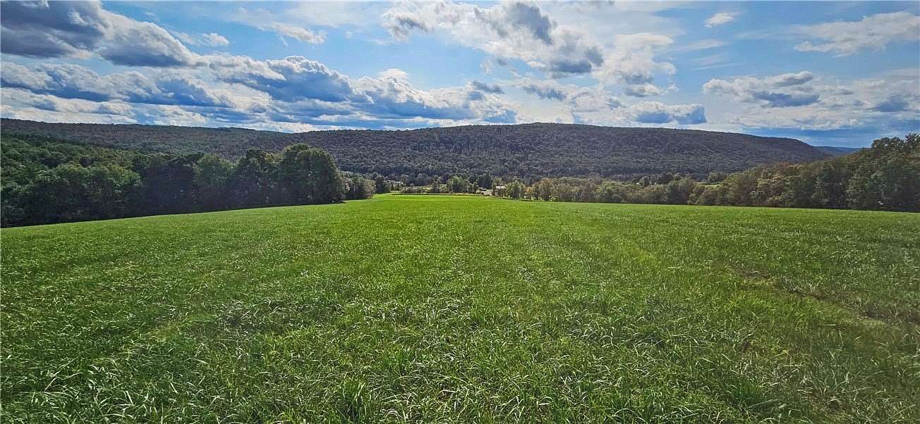 78.98 Acres of Improved Land for Sale in Meredith, New York