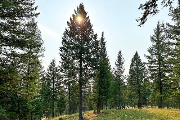 30.25 Acres of Recreational Land for Sale in Trego, Montana