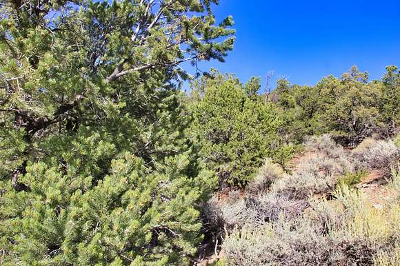 6.93 Acres of Residential Land for Sale in Fort Garland, Colorado