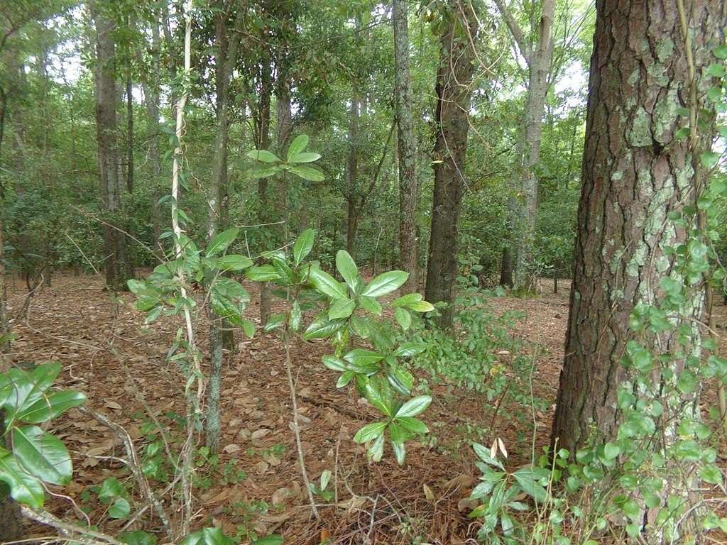 0.37 Acres of Residential Land for Sale in Sumter, South Carolina