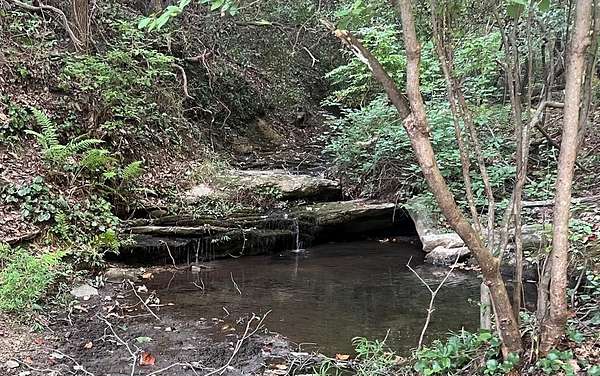 4.69 Acres of Land for Sale in Jasper, Georgia