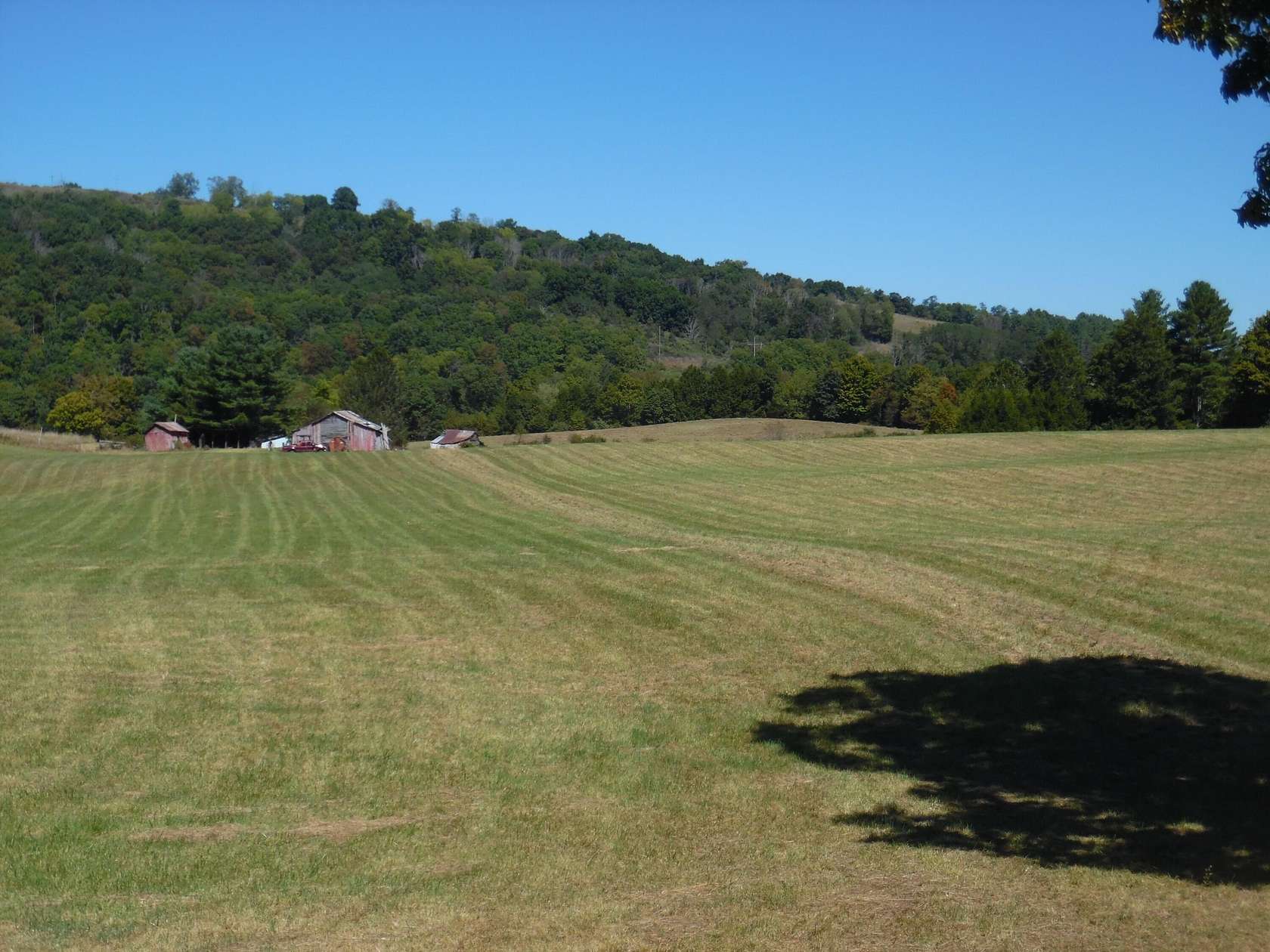 8 Acres of Land for Sale in Marlinton, West Virginia