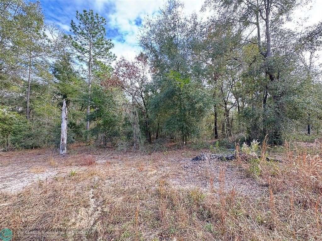 0.23 Acres of Residential Land for Sale in Williston, Florida