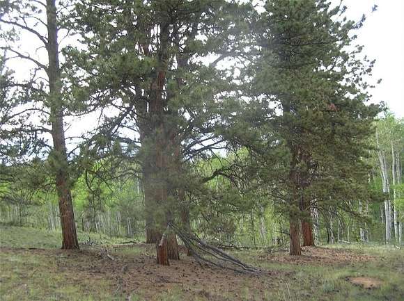 2 Acres of Residential Land for Sale in Hartsel, Colorado