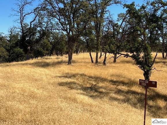 38.28 Acres of Land for Sale in Red Bluff, California