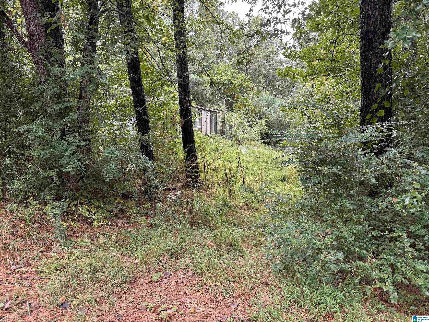 1.4 Acres of Residential Land for Sale in Remlap, Alabama