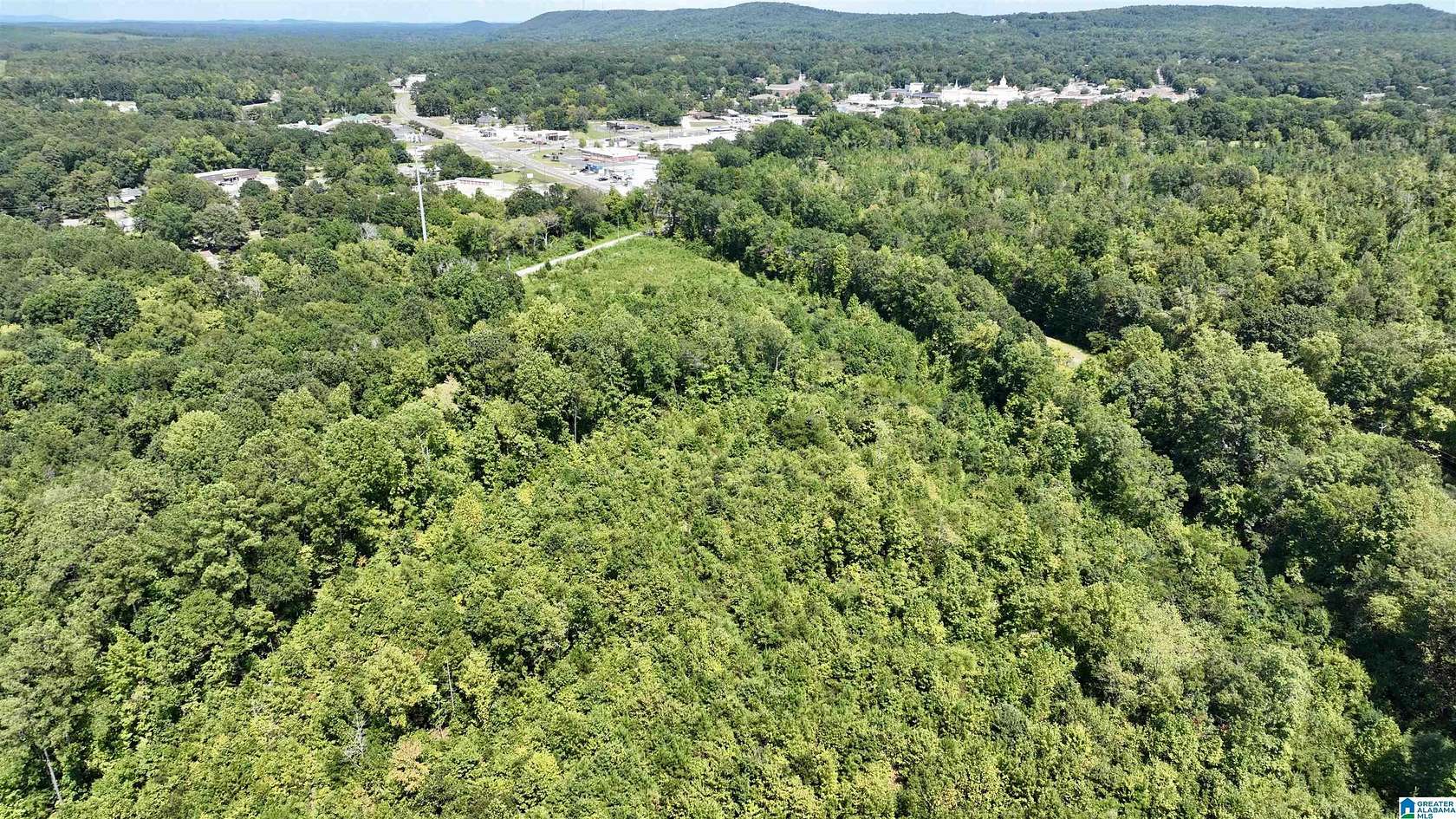 35.4 Acres of Land for Sale in Columbiana, Alabama