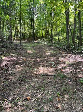 5.069 Acres of Residential Land for Sale in Monroe, Virginia