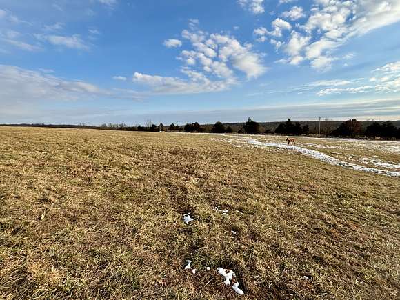 50 Acres of Land for Sale in Grovespring, Missouri