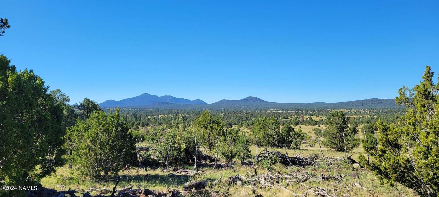 15.1 Acres of Land for Sale in Williams, Arizona