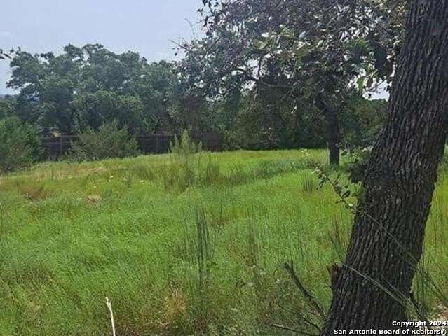 0.023 Acres of Residential Land for Sale in Spring Branch, Texas