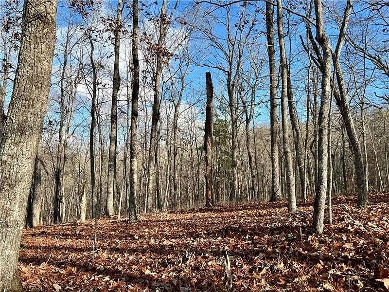 10.36 Acres of Land for Sale in Morganton, Georgia