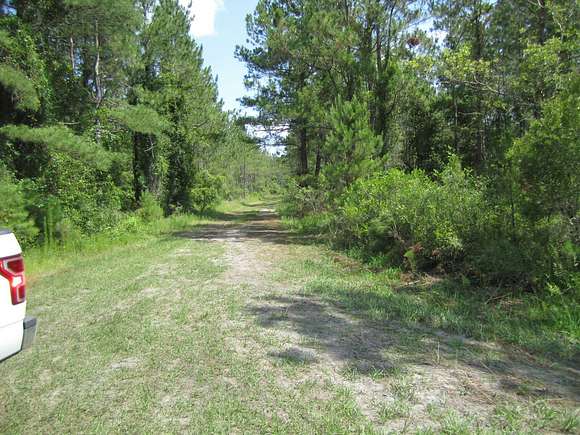 211.4 Acres of Recreational Land for Sale in Lake Butler, Florida