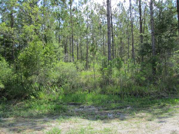 211 Acres of Recreational Land for Sale in Lake Butler, Florida