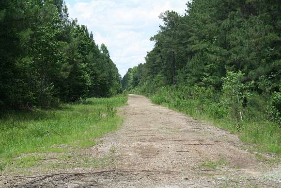 189 Acres of Recreational Land for Sale in Kenly, North Carolina