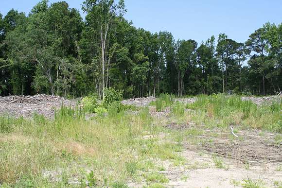 311.5 Acres of Land for Sale in Lumberton, North Carolina