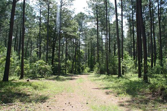 88.5 Acres of Recreational Land for Sale in Cedar Creek, North Carolina