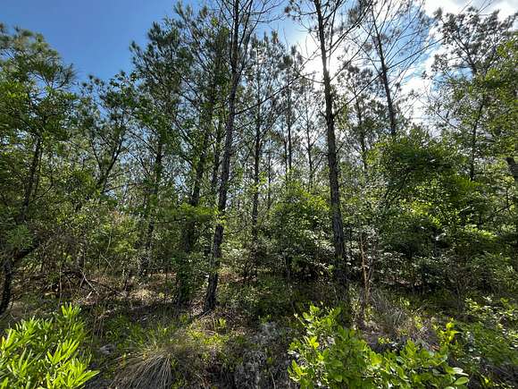 118 Acres of Recreational Land & Farm for Sale in Chipley, Florida