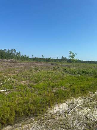 241.1 Acres of Recreational Land & Farm for Sale in Lake Butler, Florida